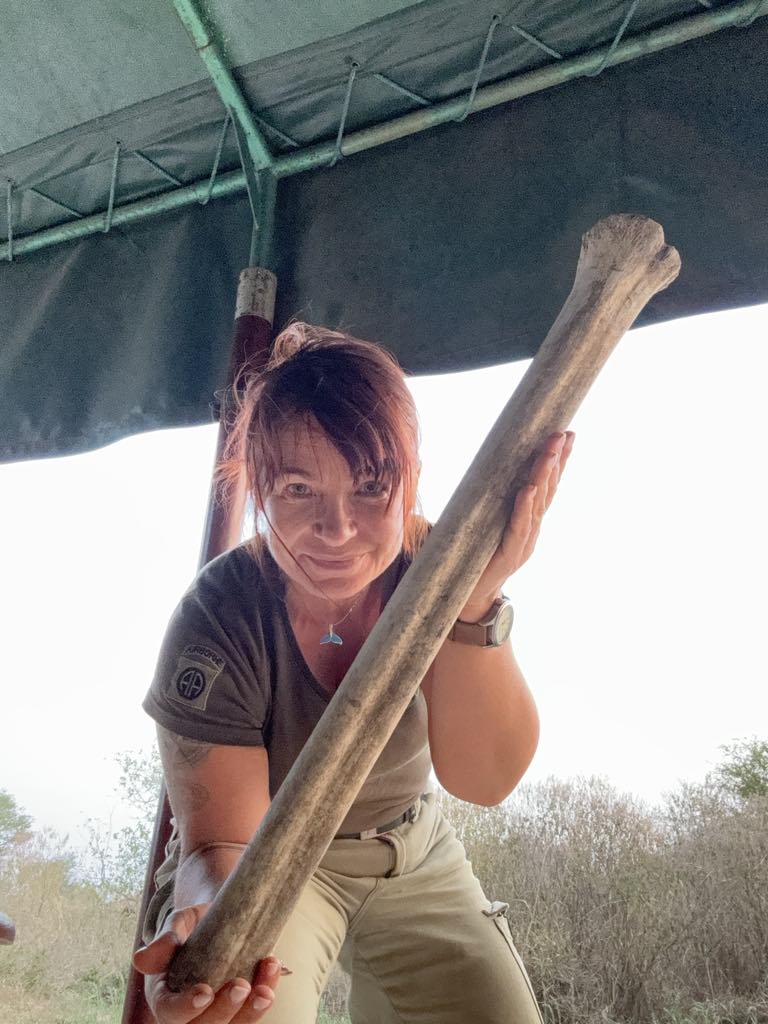 zbieranie kolekcji osteologicznej w terenie (Serengeti)