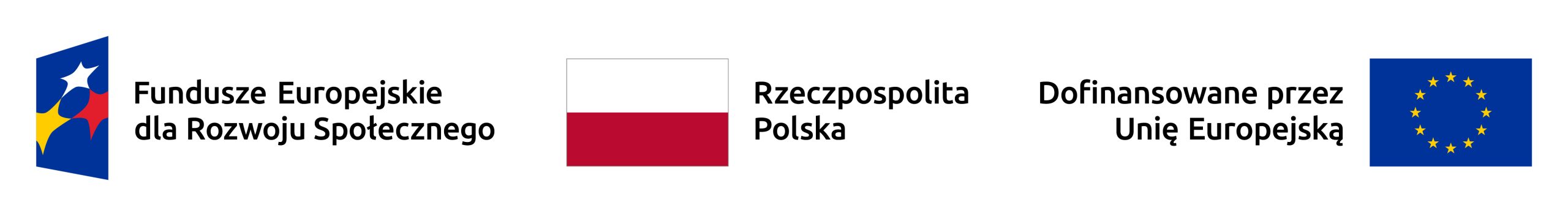 logo Fundusze Europejskie dla Rozwoju Społecznego